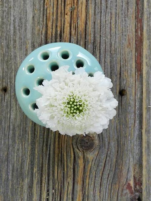 MILK SCOOP WHITE SCABIOSA